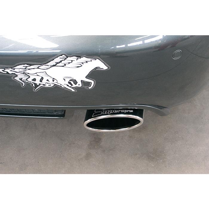 Posteriore destro 145x95